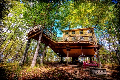 Magical Family Tree House in Secluded Woodland near Germantown, Kentucky - glamping.directory