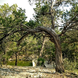 Texas Hill Country Glamping in this Rustic Cabin - Perfect for Family Vacations in the South - Bandera, Texas - glamping.directory