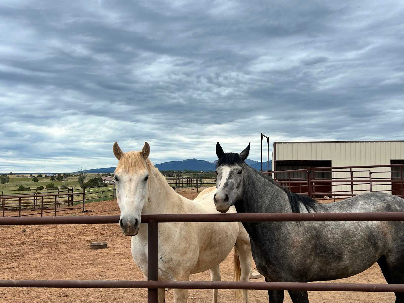 Denkai Animal Sanctuary - Hesperus, Colorado - glamping.directory