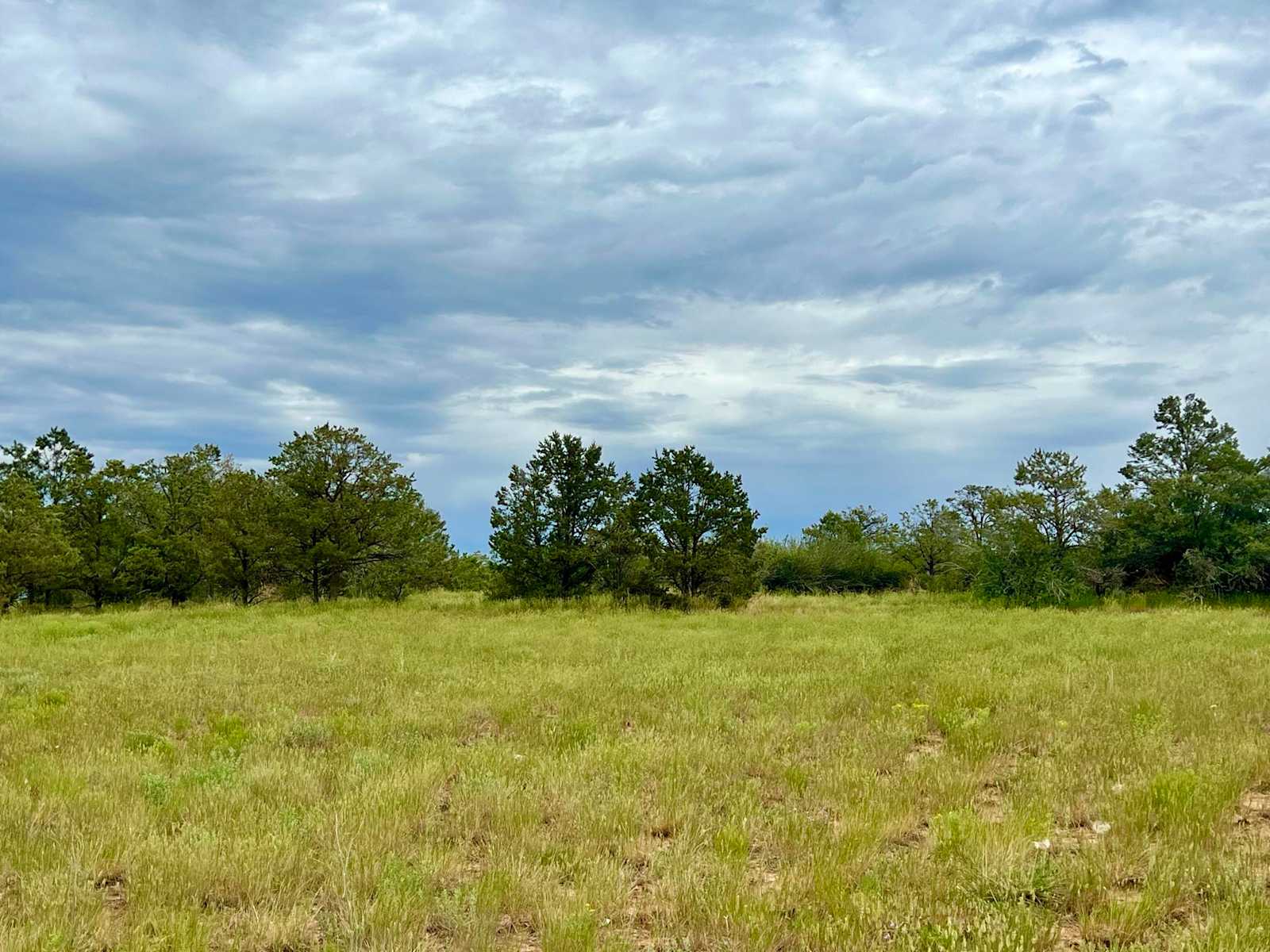 Denkai Animal Sanctuary - Hesperus, Colorado - glamping.directory