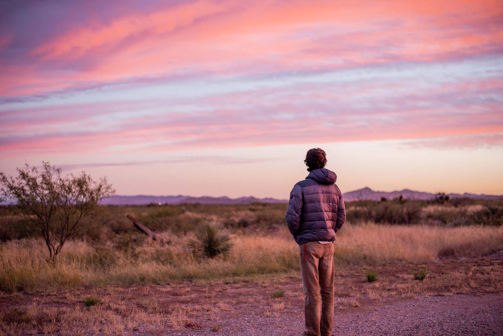 The Desert Oasis Campground - glamping.directory
