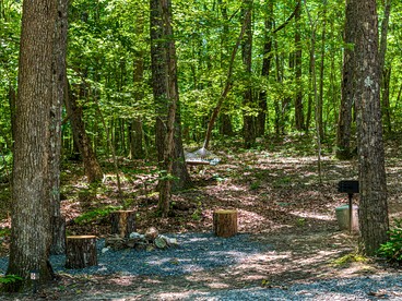 Magnificent Secluded Cabin in Fort Payne, Alabama - Fort Payne, Alabama - glamping.directory
