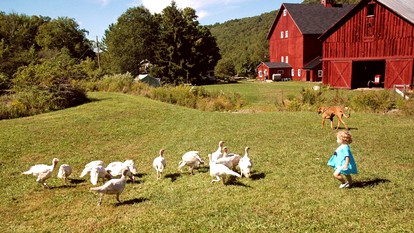 Escape to an Organic Farm in the Catskill Mountains, New York - Walton, New York - glamping.directory