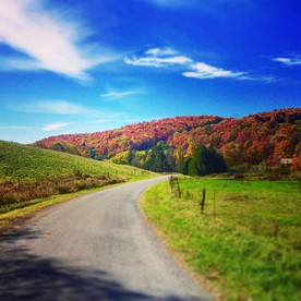 Escape to an Organic Farm in the Catskill Mountains, New York - Walton, New York - glamping.directory