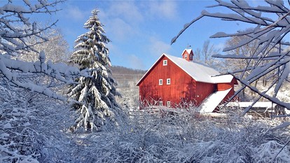 Escape to an Organic Farm in the Catskill Mountains, New York - glamping.directory