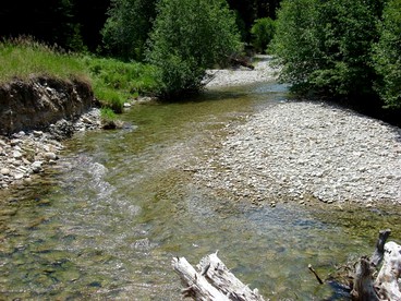 Elegant Mountain Cabin Rental in Bitterroot National Forest, Montana - Darby, Montana - glamping.directory