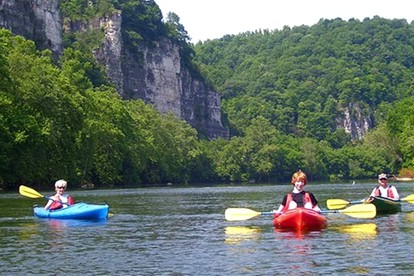 Charming Vacation Rental overlooking New River in the Blue Ridge Mountains of Virginia - Independence, Virginia - glamping.directory