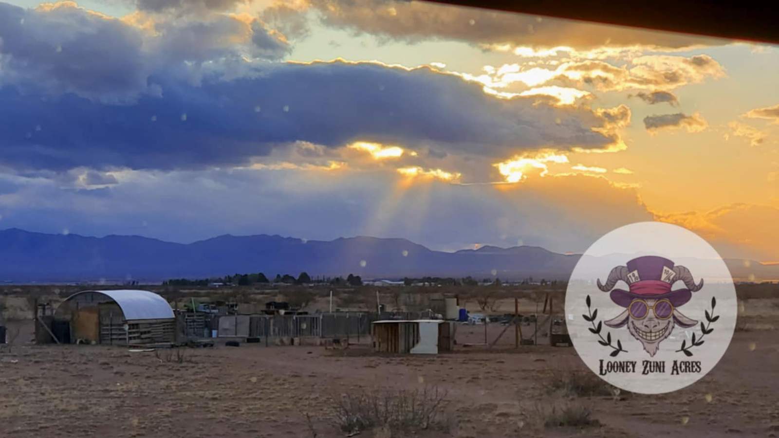 Looney Zuni Acres - glamping.directory