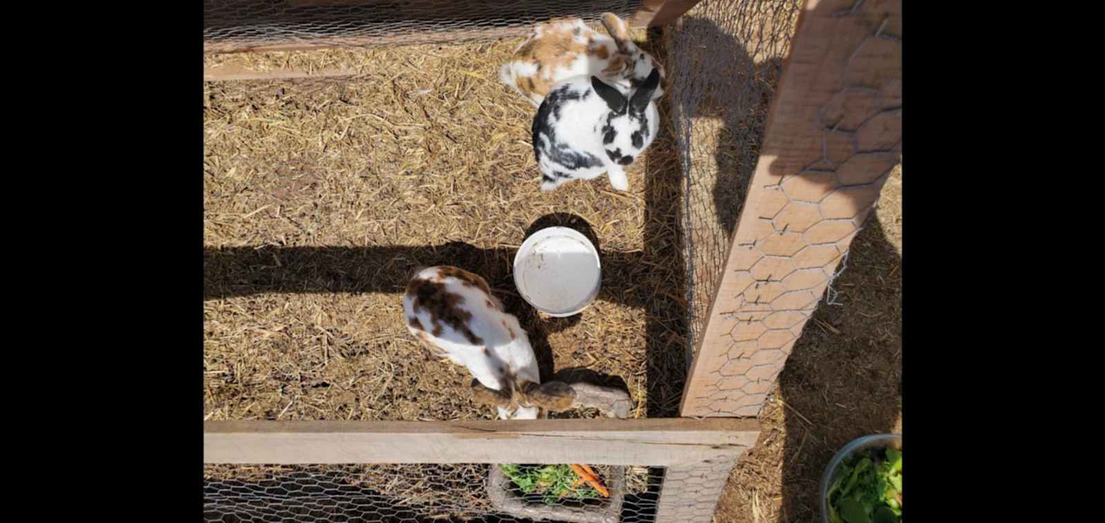 Looney Zuni Acres - Mc Neal, Arizona - glamping.directory