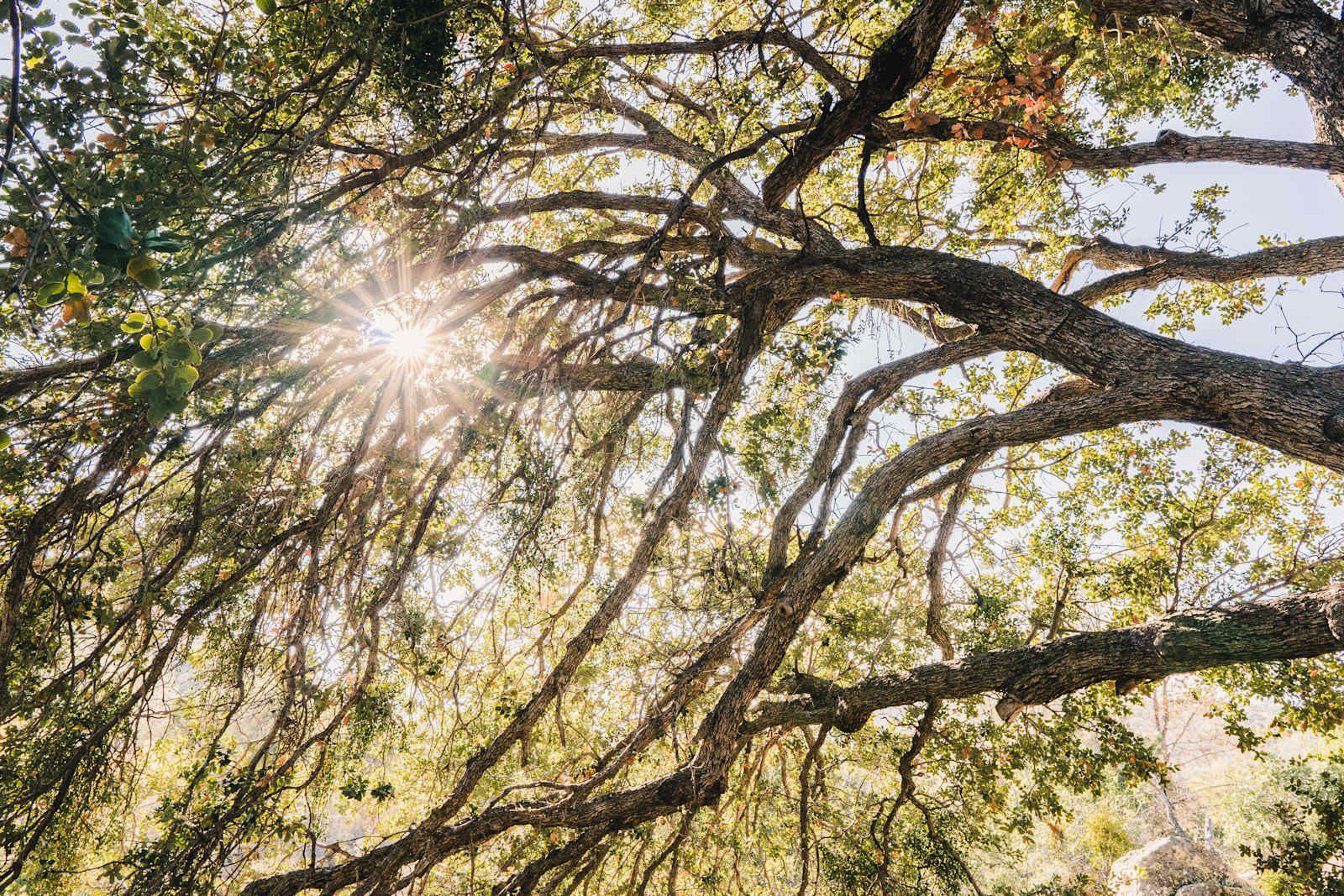 Spirit Walk - Private Retreat - Wofford Heights, California - glamping.directory