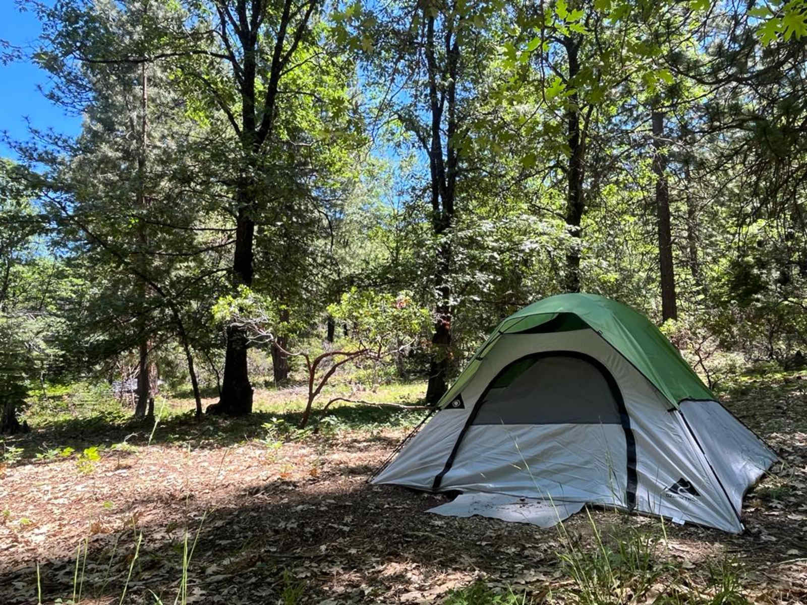 Willow's Healing Haven - Weed, California - glamping.directory