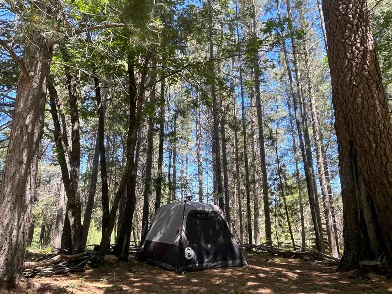 Willow's Healing Haven - Weed, California - glamping.directory