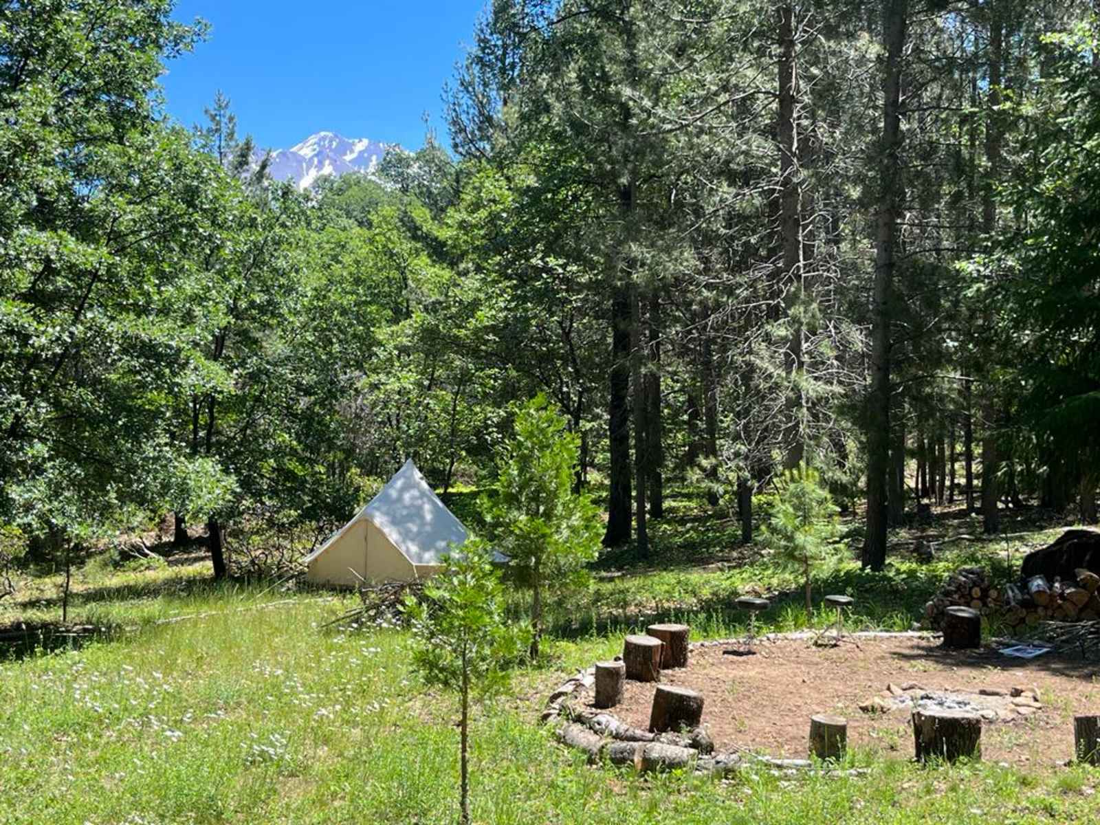 Willow's Healing Haven - glamping.directory