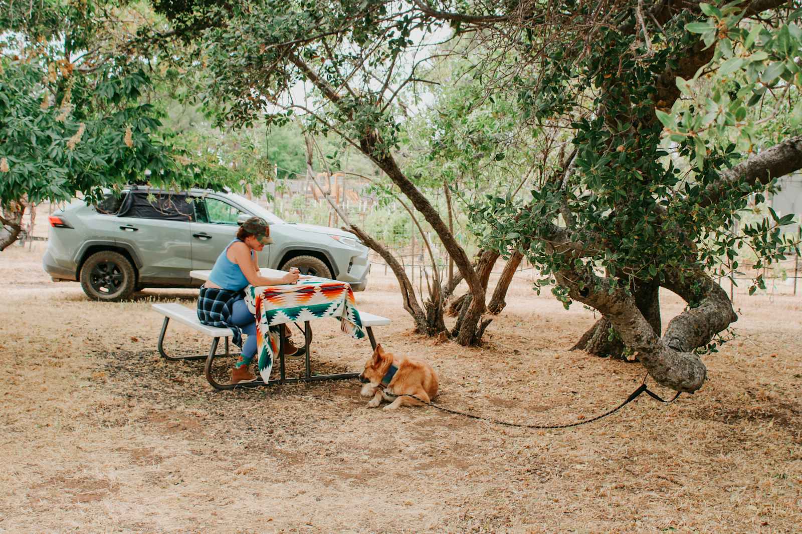 Gold Wall Ranch & Vineyard - Jamestown, California - glamping.directory