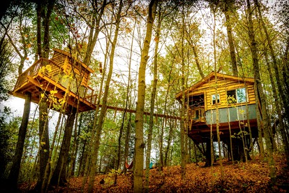 Stunning Tree House Tucked Away Among the Trees near Germantown, Kentucky - Germantown, Kentucky - glamping.directory