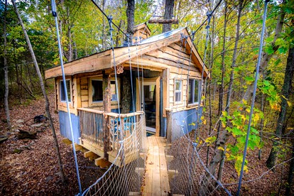 Stunning Tree House Tucked Away Among the Trees near Germantown, Kentucky - Germantown, Kentucky - glamping.directory