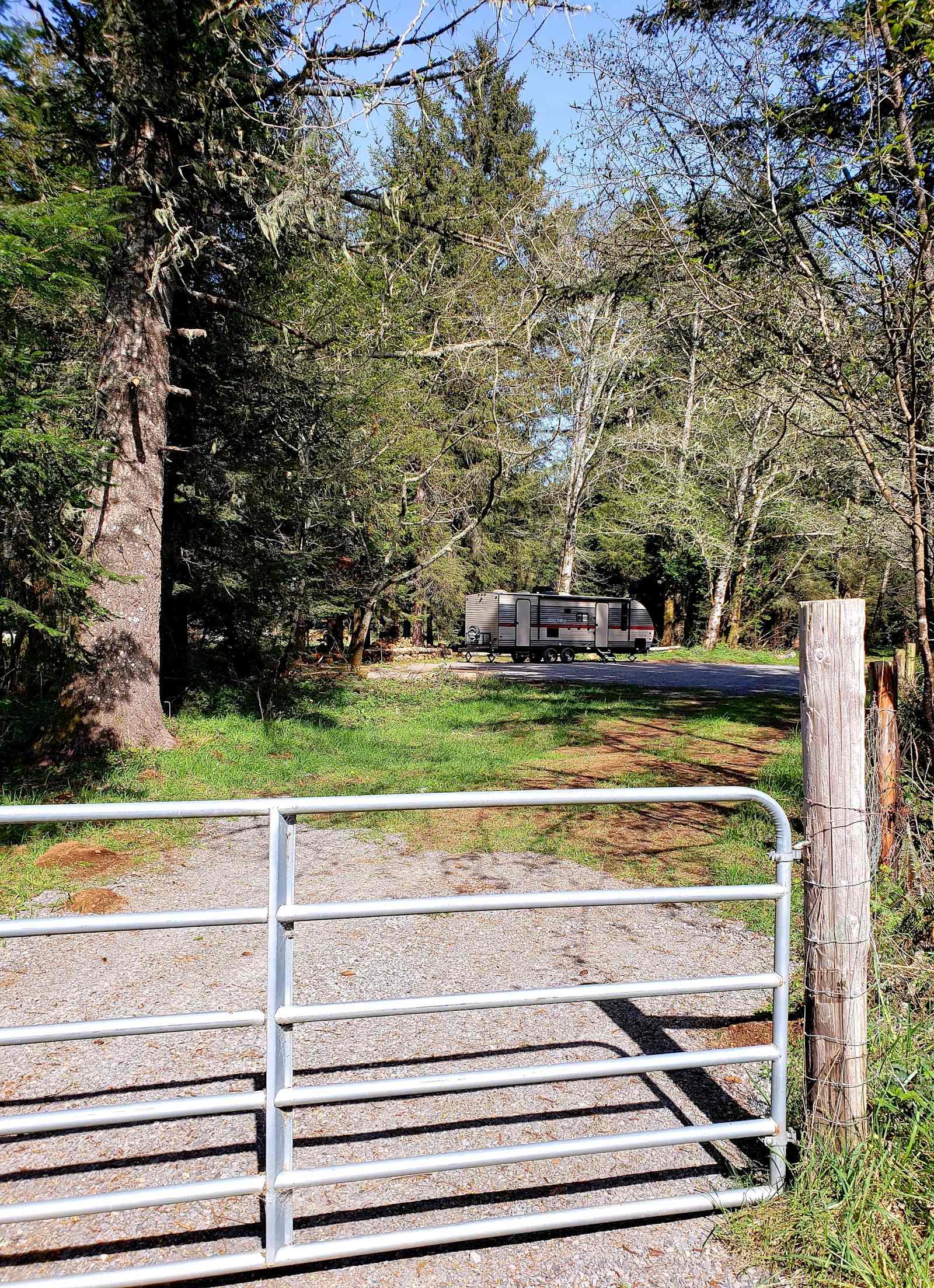 Coastal Forest Farm Camp - Crescent City, California - glamping.directory