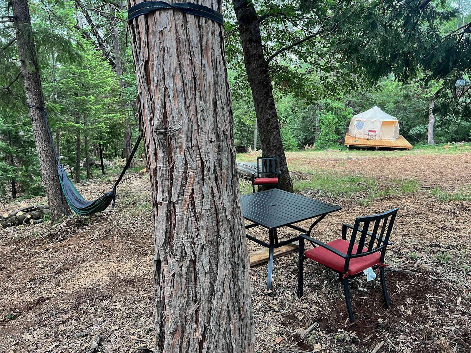 Starry Hot Tub/Cold Plunge Glamping - Nevada City, California - glamping.directory