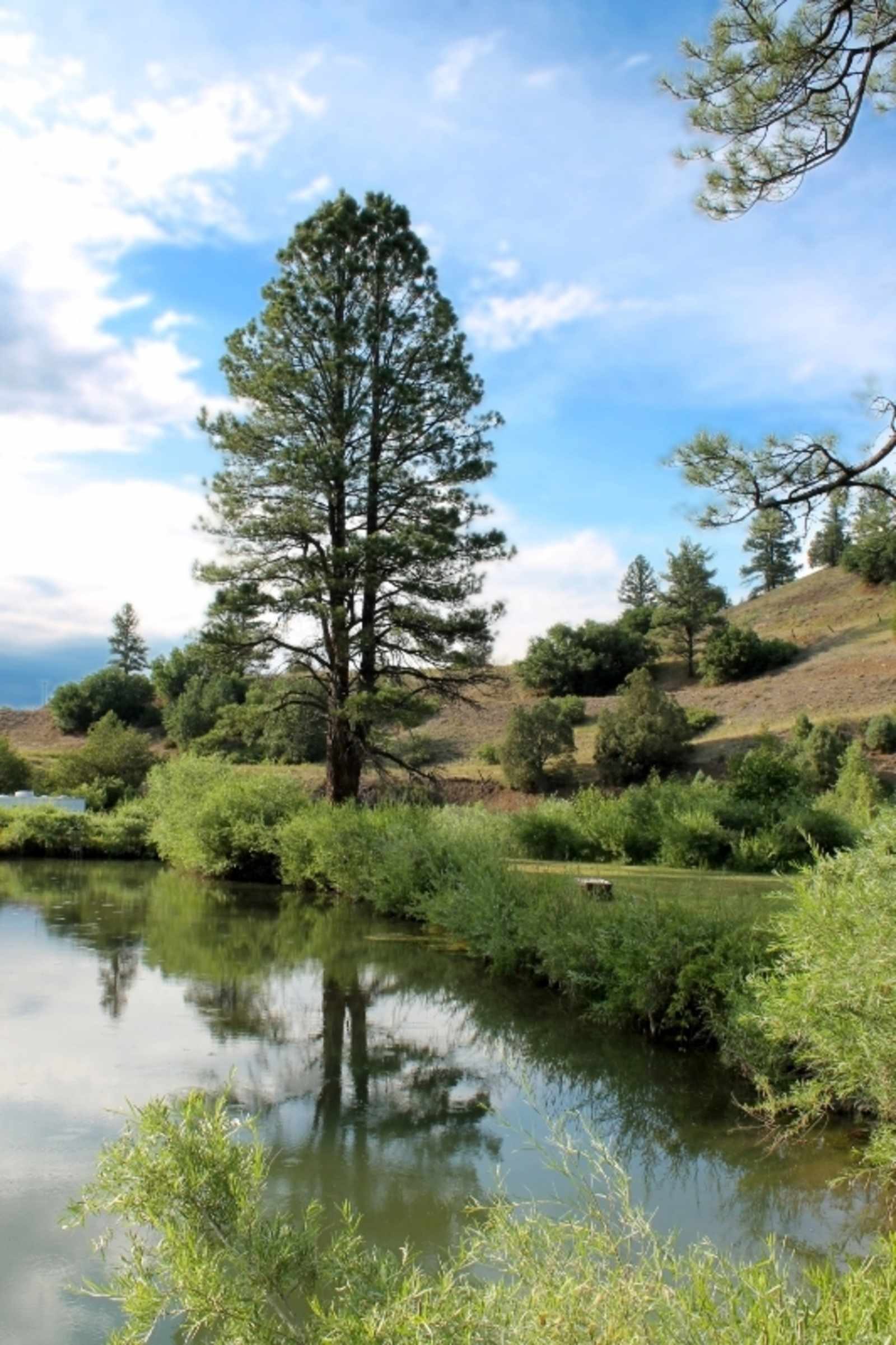 Last Resort on the River - glamping.directory
