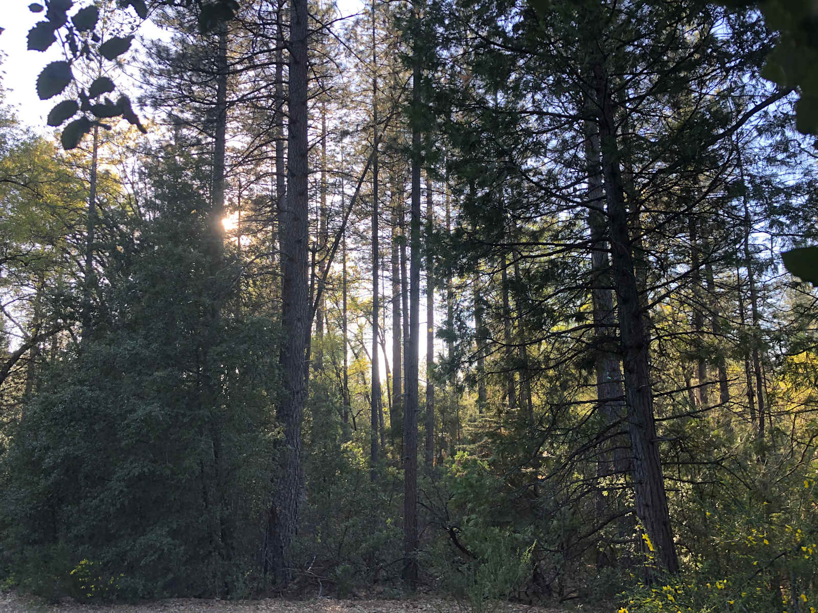 Rock Creek Sanctuary - Nevada City, California - glamping.directory