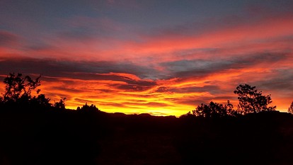Cozy Cabin Rental near Amazing Gila National Forest in New Mexico - Cruzville, New Mexico - glamping.directory