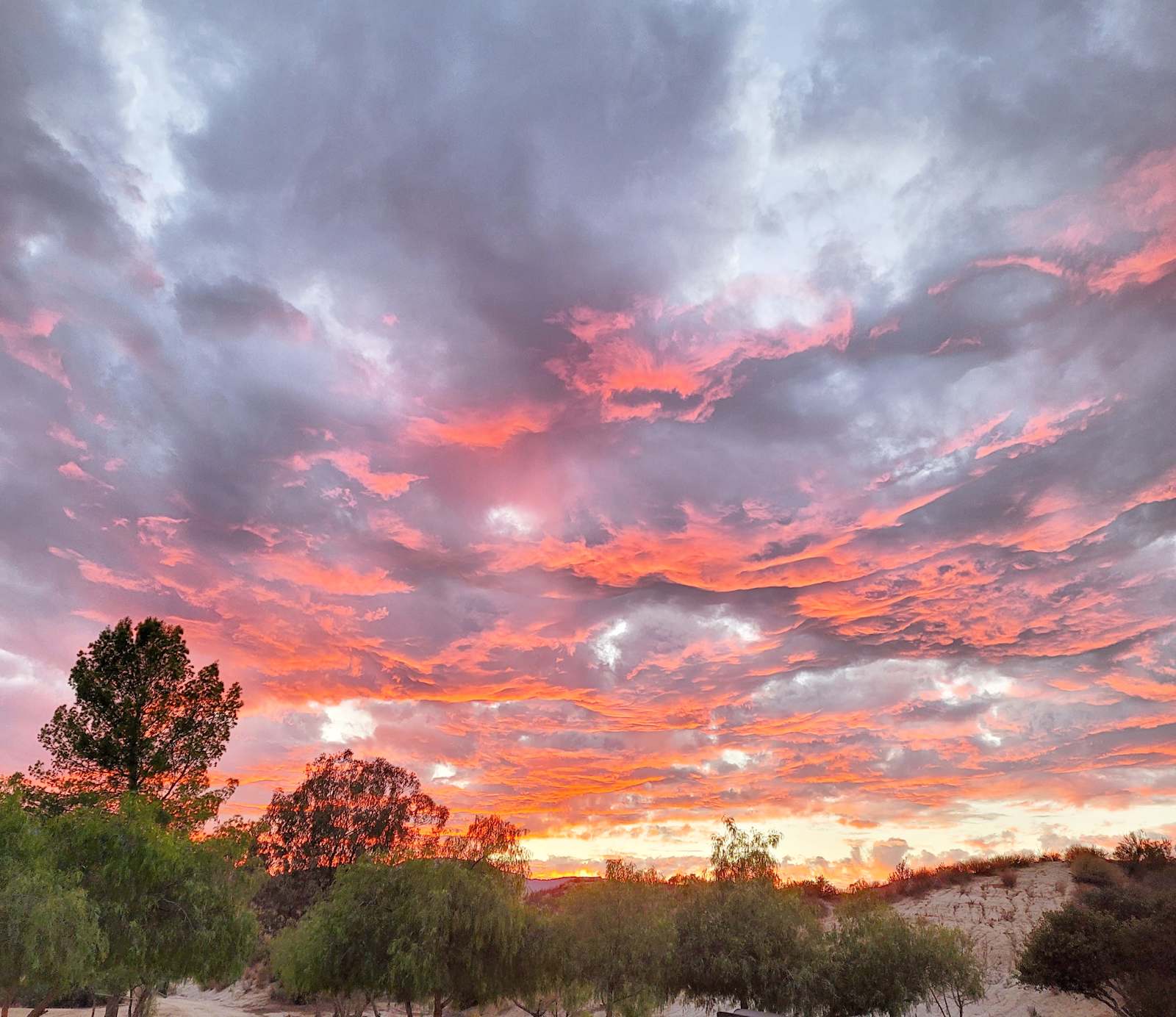 Saddle Up Camp - Aguanga, California - glamping.directory