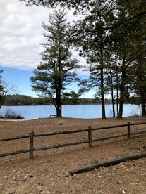 Dog-Friendly Lakeside Cabin Rental with Private Beach in Brownfield, Maine - Brownfield, Maine - glamping.directory