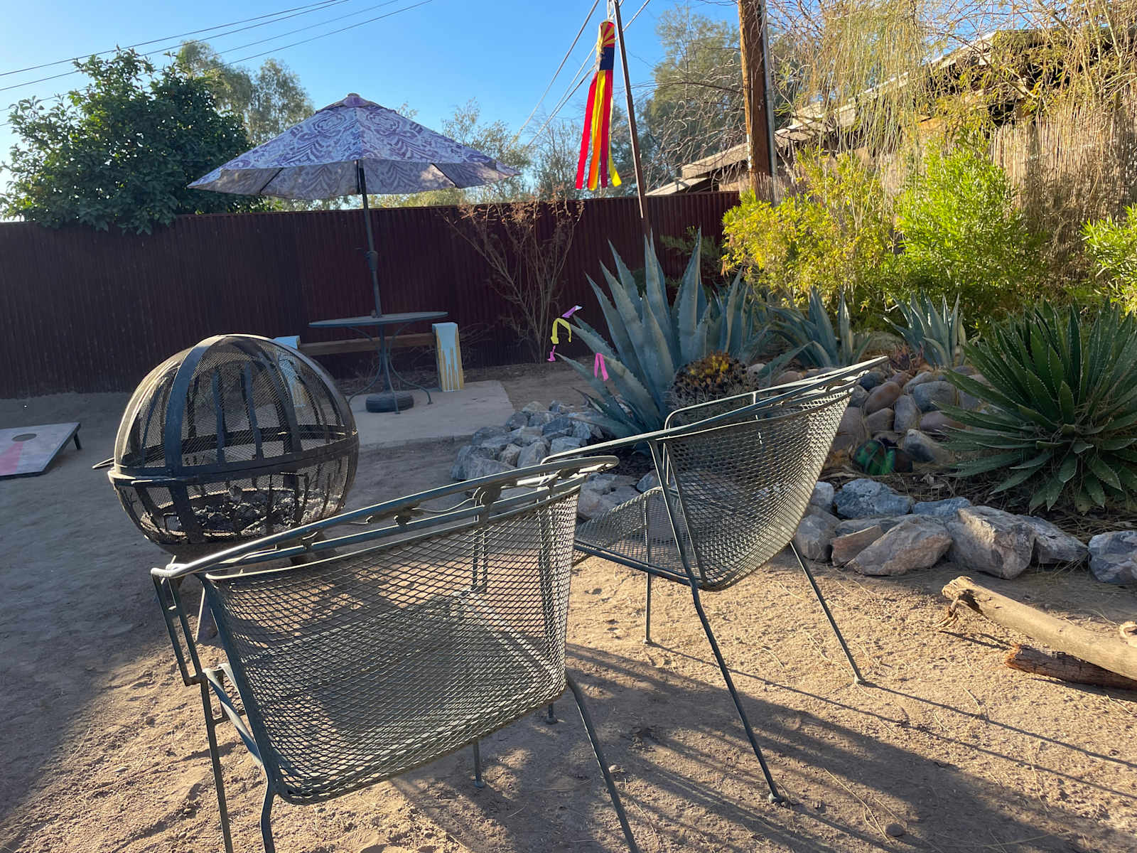 Roadrunner Tucson Birds and Cacti - Tucson, Arizona - glamping.directory