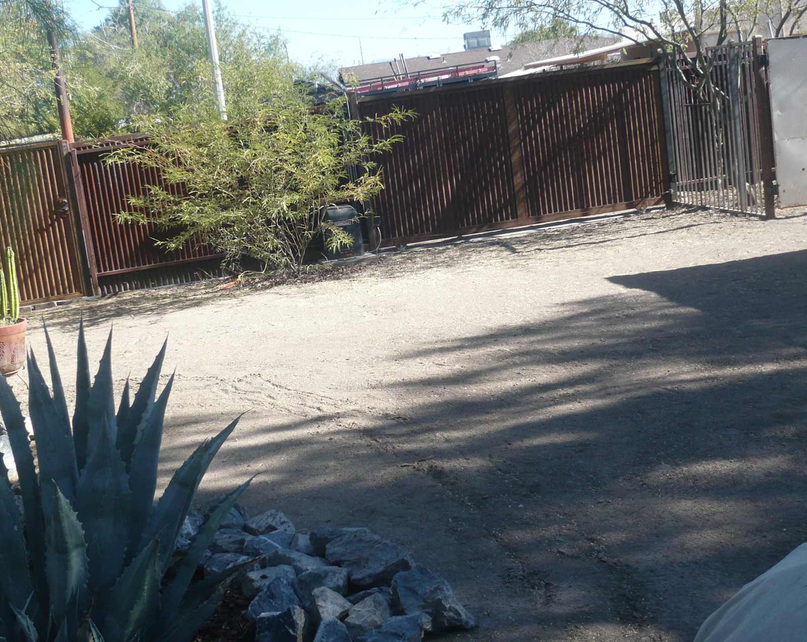 Roadrunner Tucson Birds and Cacti - Tucson, Arizona - glamping.directory