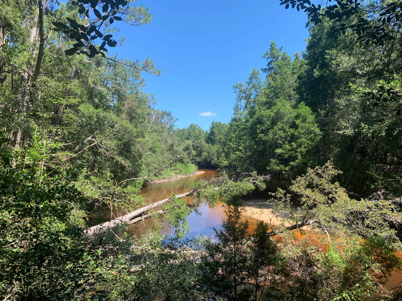 CampFire at the Riverbend - Robertsdale, Alabama - glamping.directory