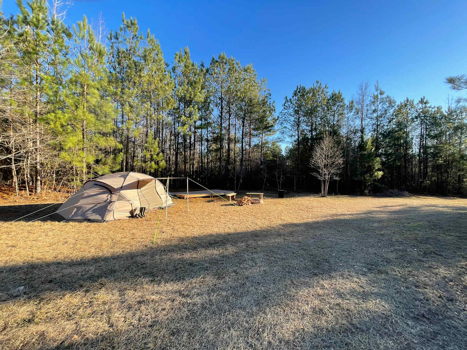Pine And Oak Campsite - glamping.directory