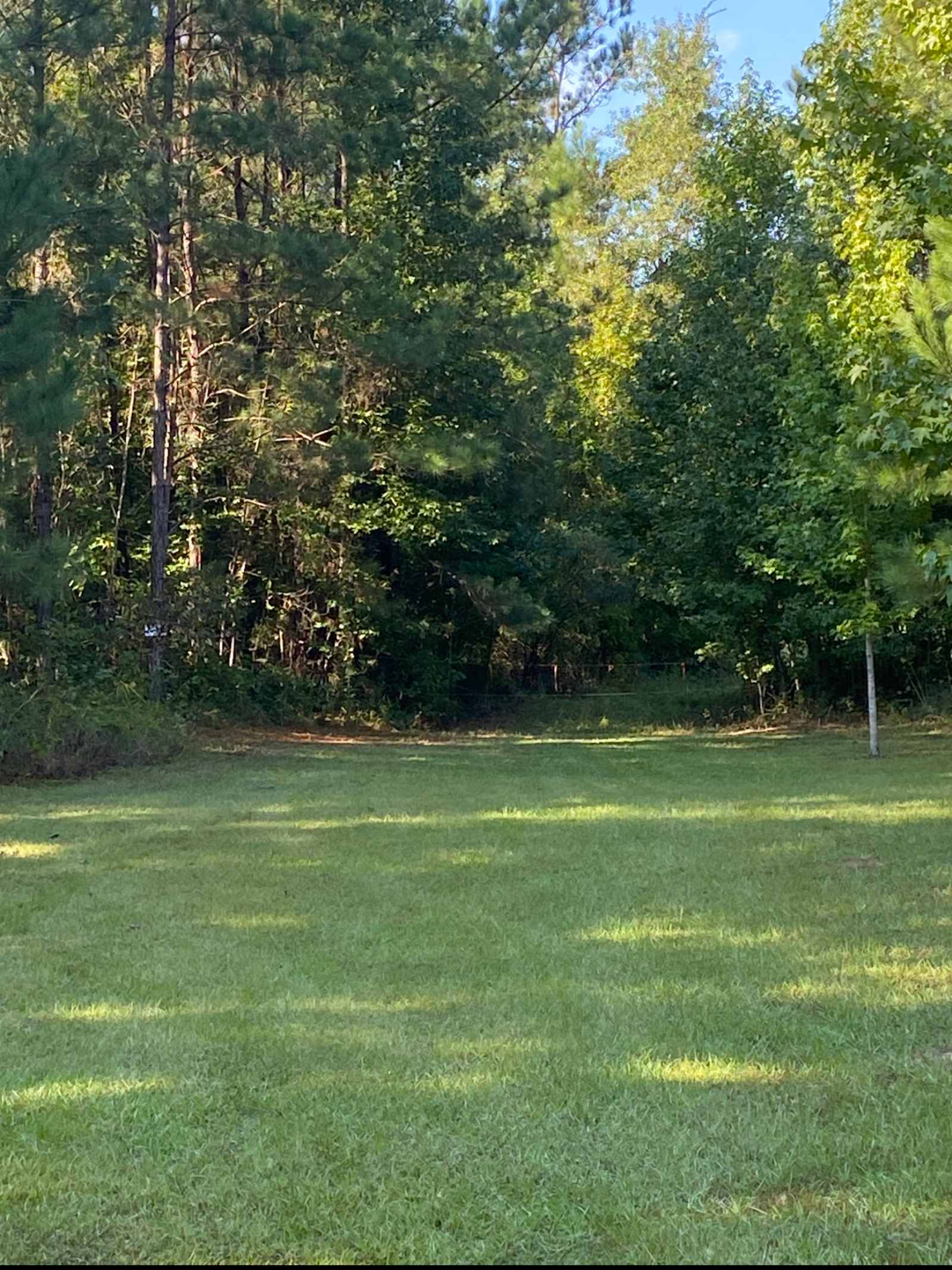 Pine And Oak Campsite - Ladonia, Alabama - glamping.directory