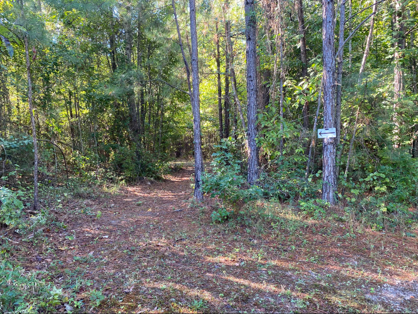 Pine And Oak Campsite - Ladonia, Alabama - glamping.directory