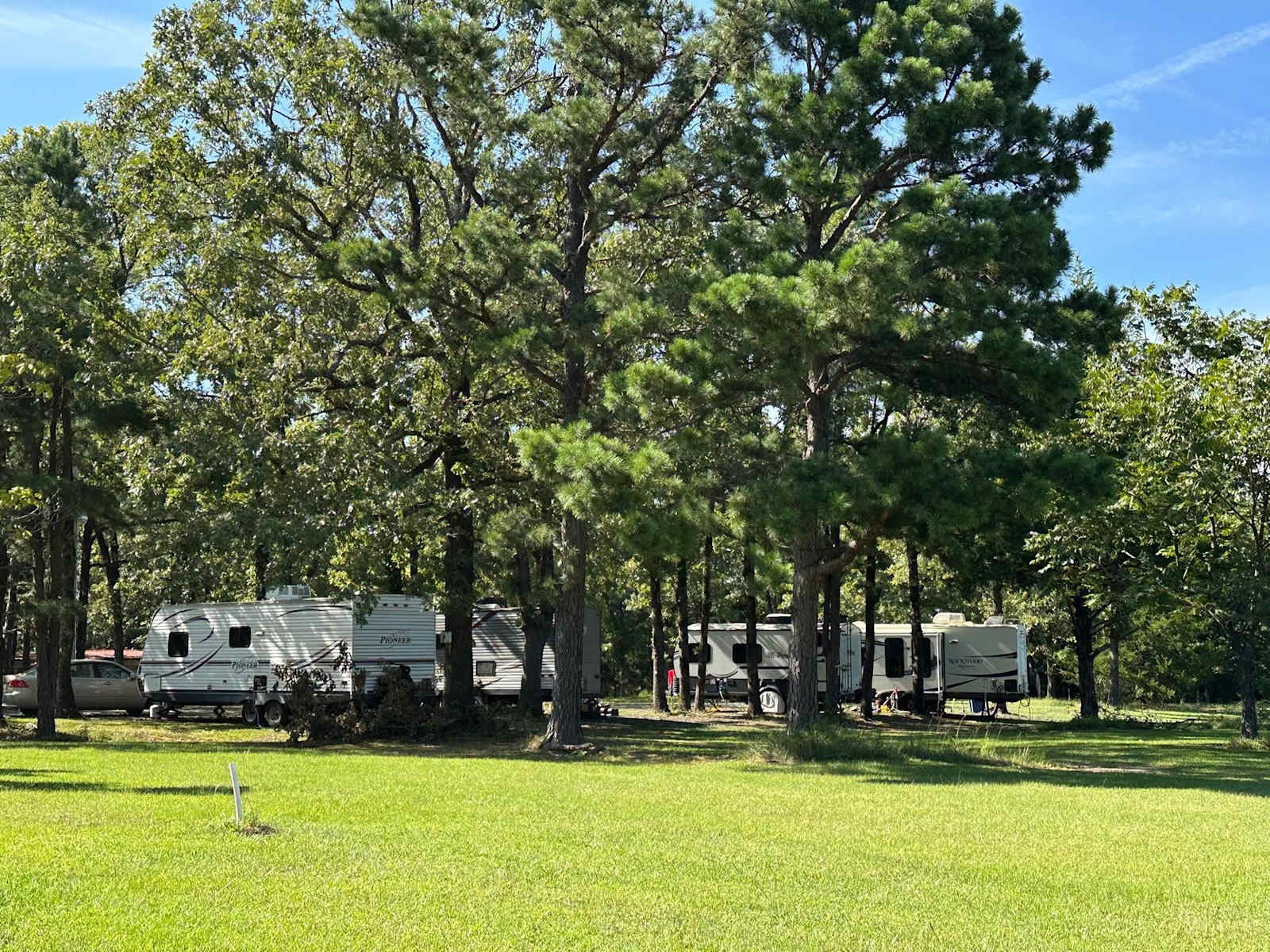 Wildwoodz - glamping.directory