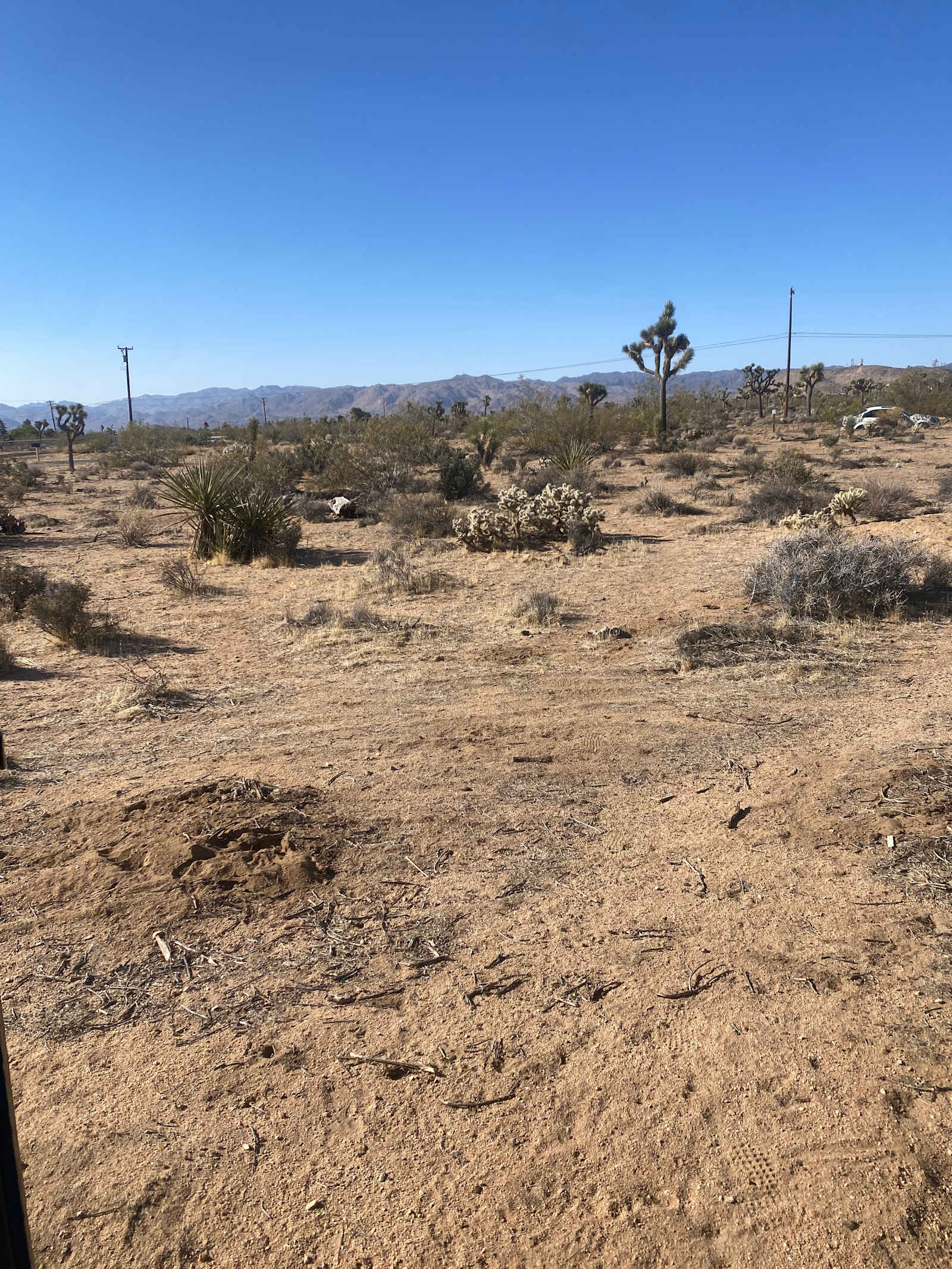 Desert Quietness - Yucca Valley, California - glamping.directory