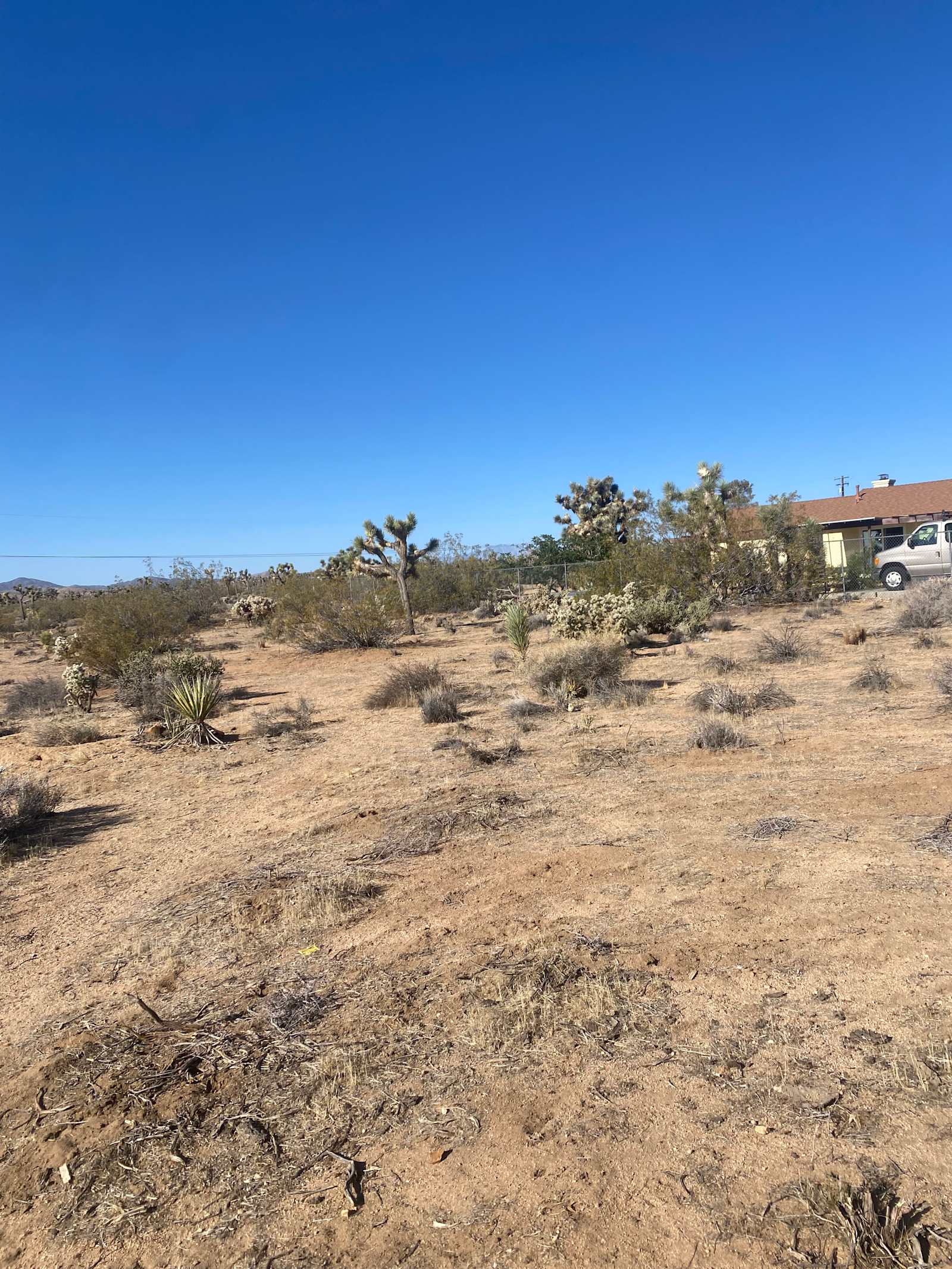 Desert Quietness - Yucca Valley, California - glamping.directory