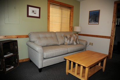 Mountain Getaway Cabin and Private River Access near Luray, Virginia - Rileyville, Virginia - glamping.directory