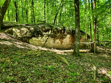 Secluded Woodland Geodome with Panoramic Views & Private Trails in Milledgeville, Georgia - Milledgeville, Georgia - glamping.directory