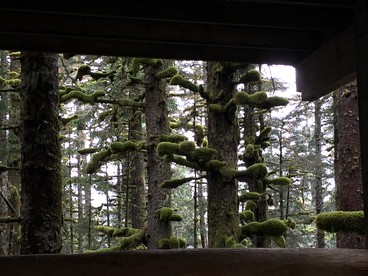 Cute Cabin Nestled in the Trees with Magical Forest Views for a Romantic Escape in Nature Whale Island, Alaska - North Pole, Alaska - glamping.directory