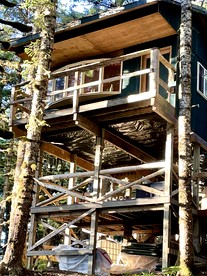 Cute Cabin Nestled in the Trees with Magical Forest Views for a Romantic Escape in Nature Whale Island, Alaska - glamping.directory