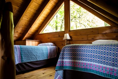 Pet Friendly Log Cabin with Firepit near Green River Lake in Columbia, Kentucky - Columbia, Kentucky - glamping.directory