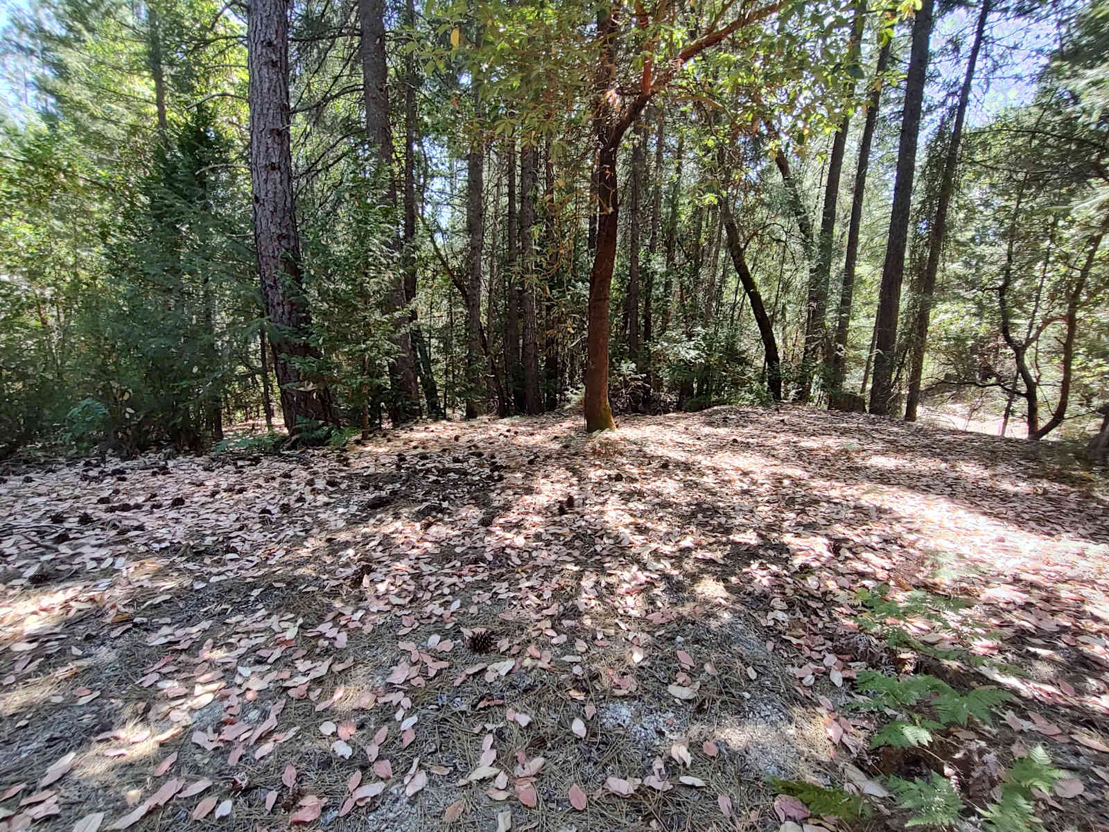 Quartz creek campground - Nevada City, California - glamping.directory