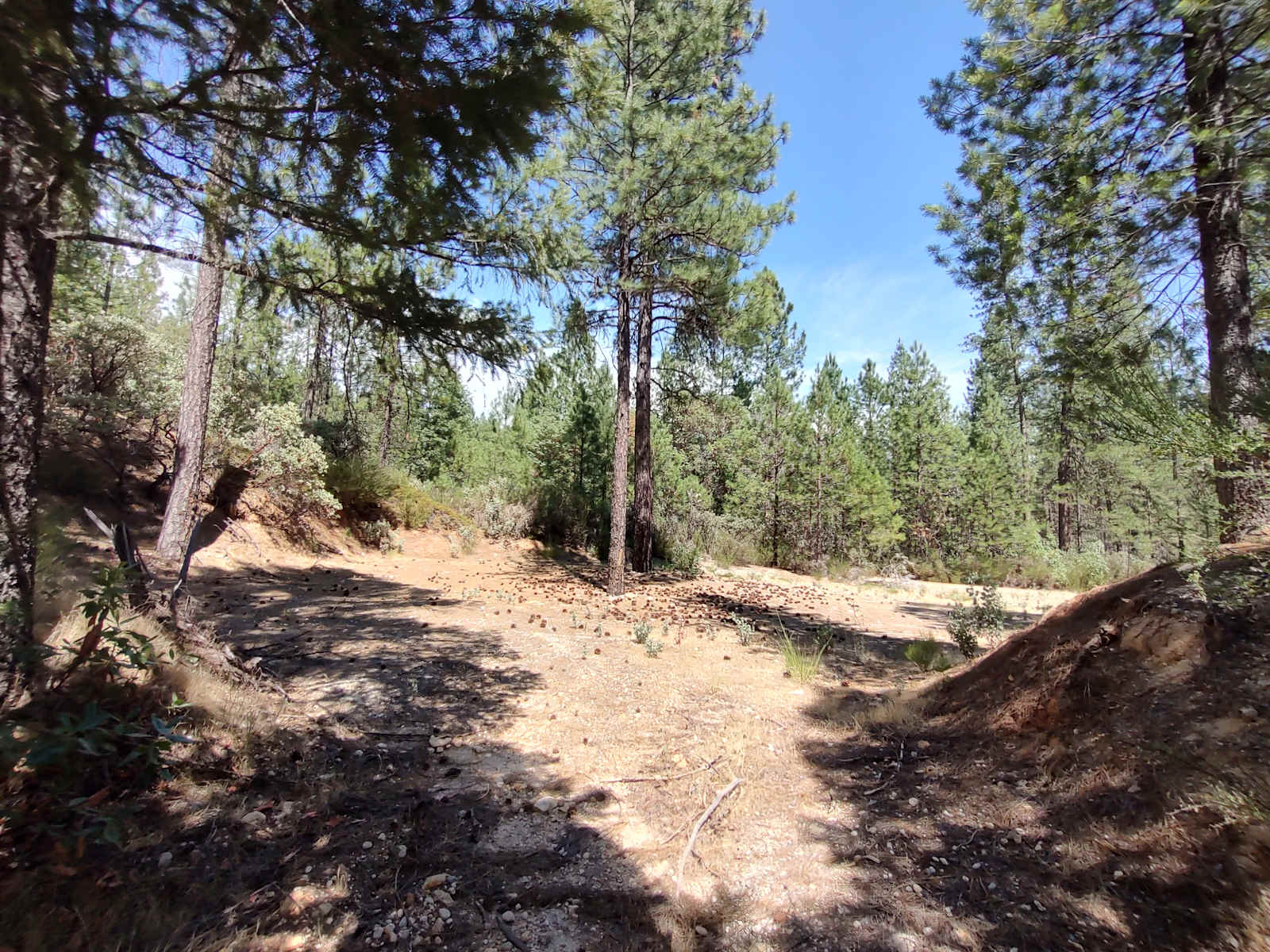 Quartz creek campground - Nevada City, California - glamping.directory