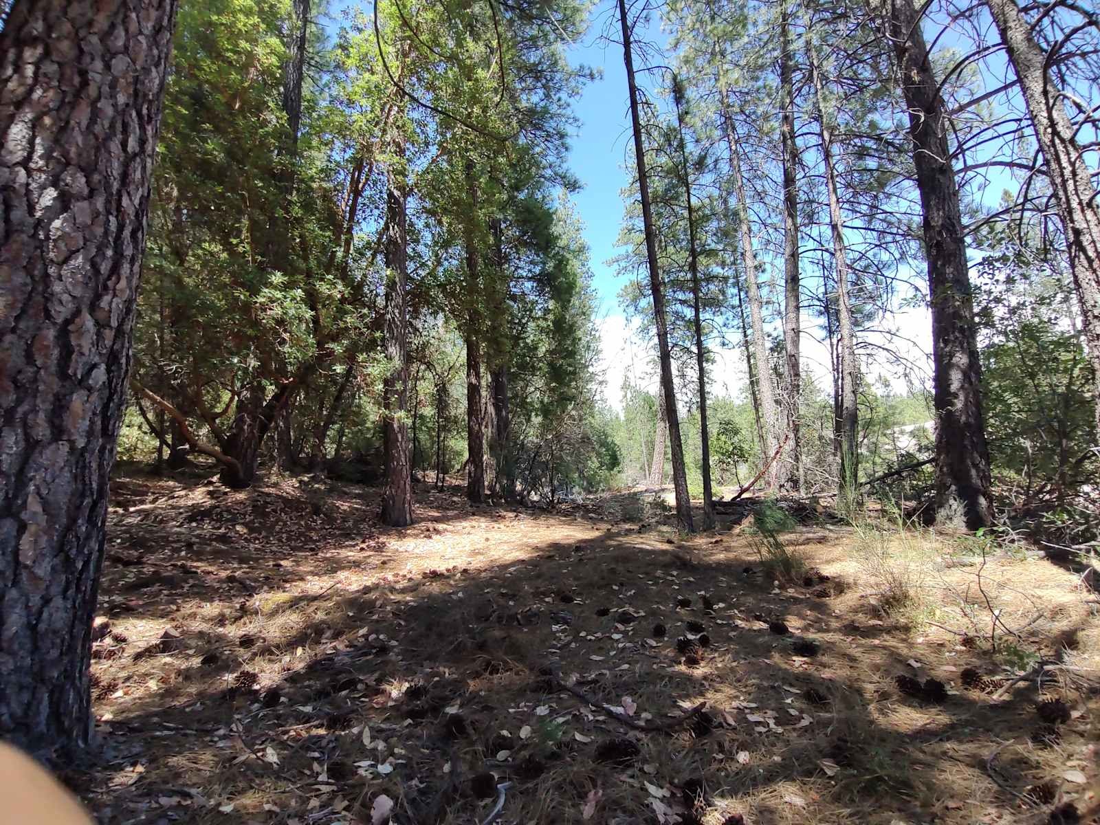 Quartz creek campground - Nevada City, California - glamping.directory