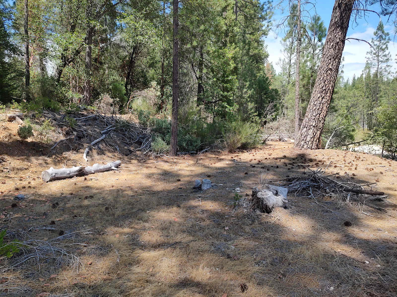 Quartz creek campground - Nevada City, California - glamping.directory