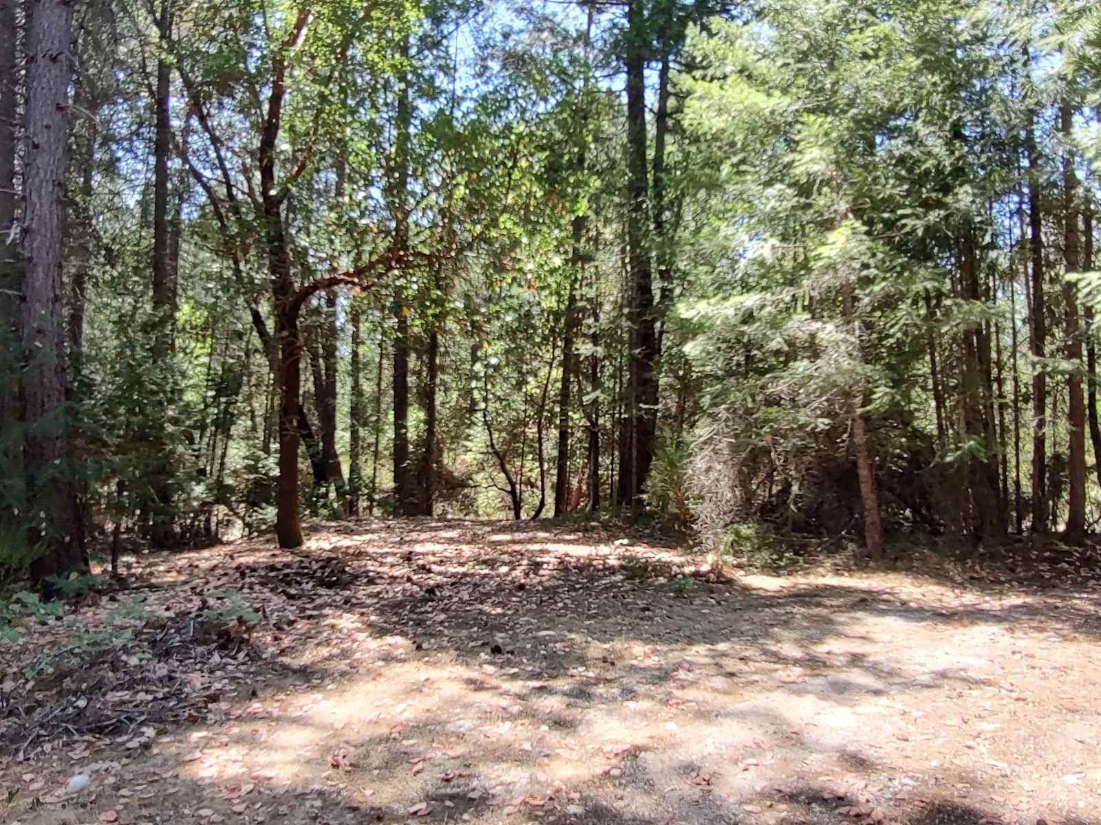 Quartz creek campground - Nevada City, California - glamping.directory