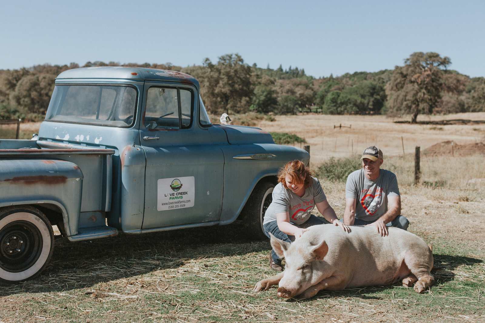 Love Creek Sanctuary! - Grass Valley, California - glamping.directory