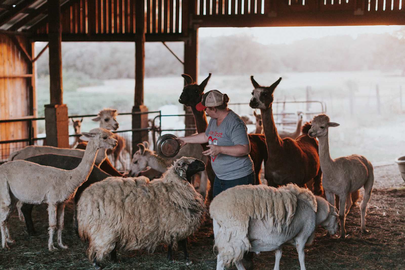 Love Creek Sanctuary! - Grass Valley, California - glamping.directory