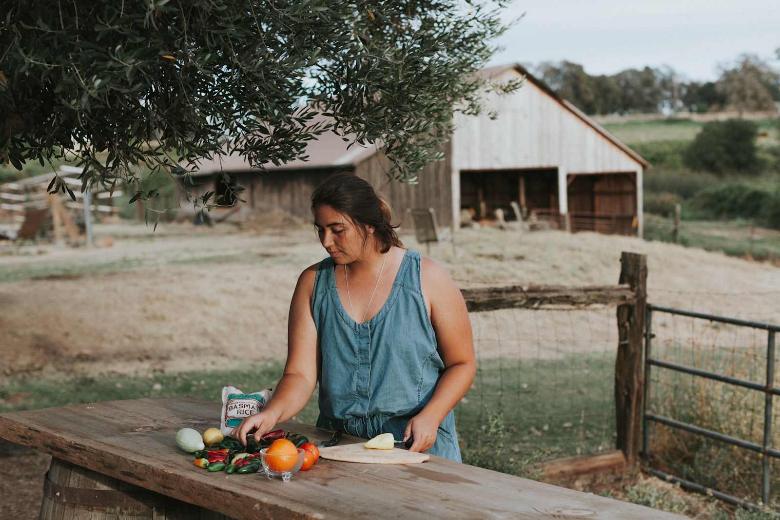 Love Creek Sanctuary! - Grass Valley, California - glamping.directory