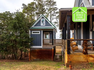 Elevated Cabin in the Trees Perfect for a Weekend Getaway in the Outer Banks, North Carolina - glamping.directory